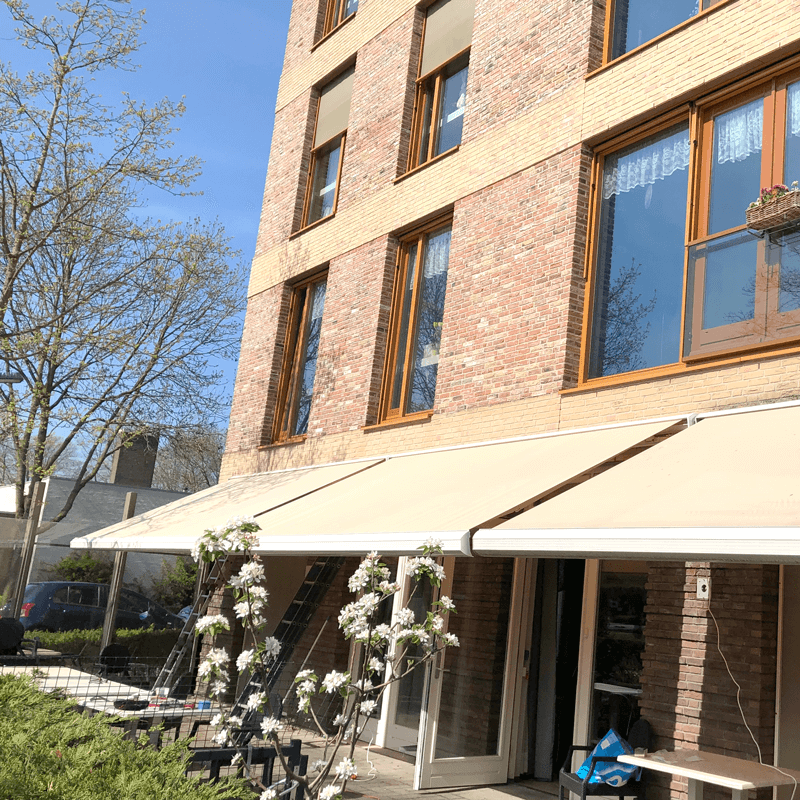 Webdesign Wognum, Webdesign Snel een webdesigner - Boost jouw Online Succes met onze Hulp