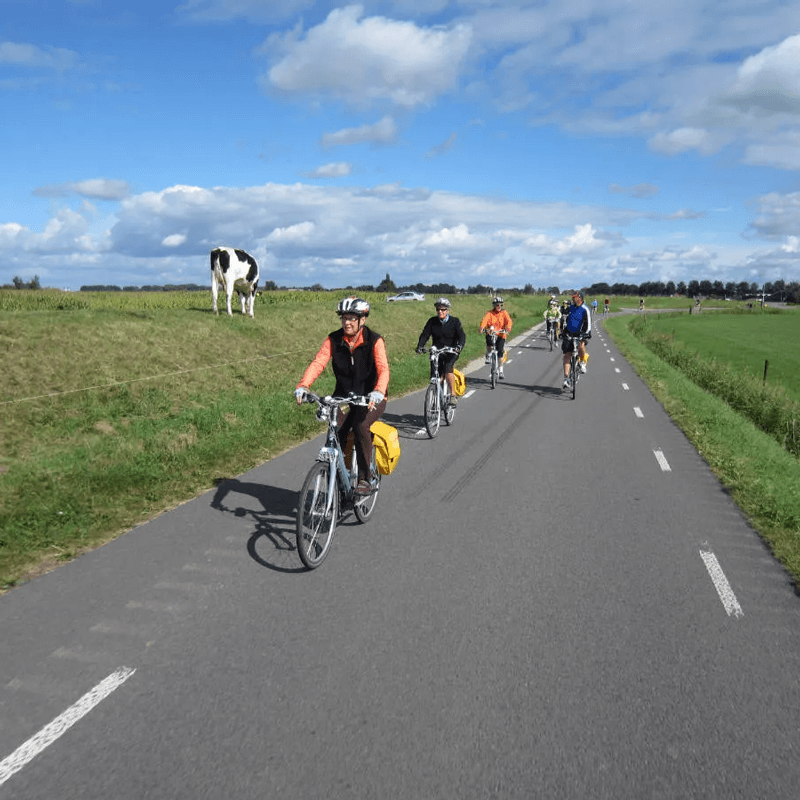 Webdesign Wognum, Webdesign Snel een webdesigner - Boost jouw Online Succes met onze Hulp